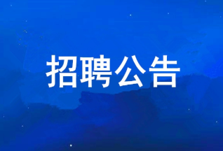 9091美高梅 2025年度公开招聘公告