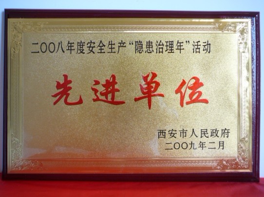 2009年2月，被西安市人民政府评为2008年度安全生产“隐患治理年”活动先进单位